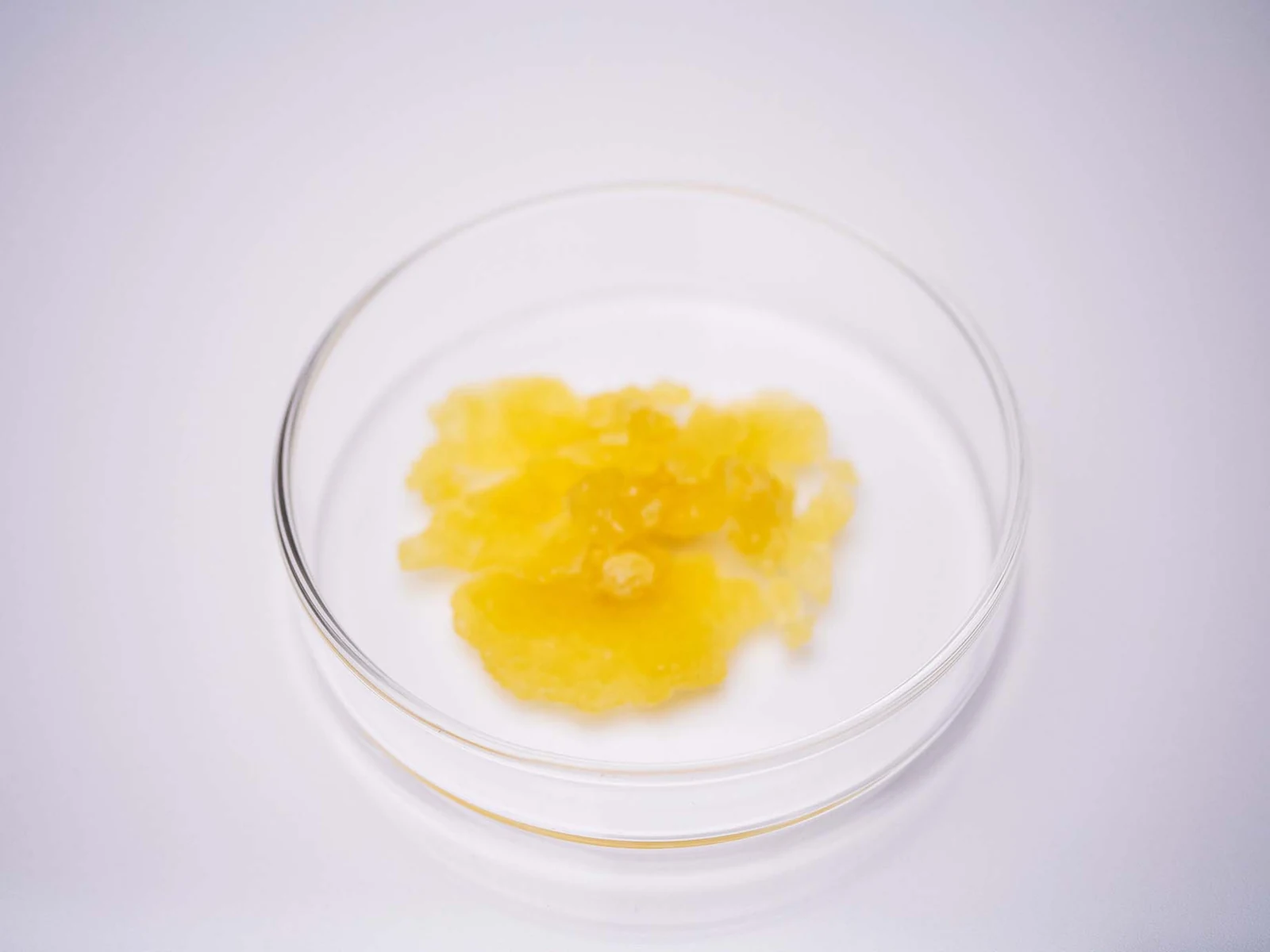 CBD Vollspektrum-Destillat von KannaSan – volles Pflanzenstoffprofil