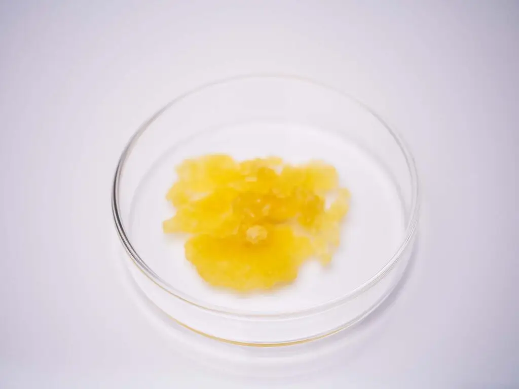 kannasan-cbd-destillat-vollspektrum-fuer-apotheken